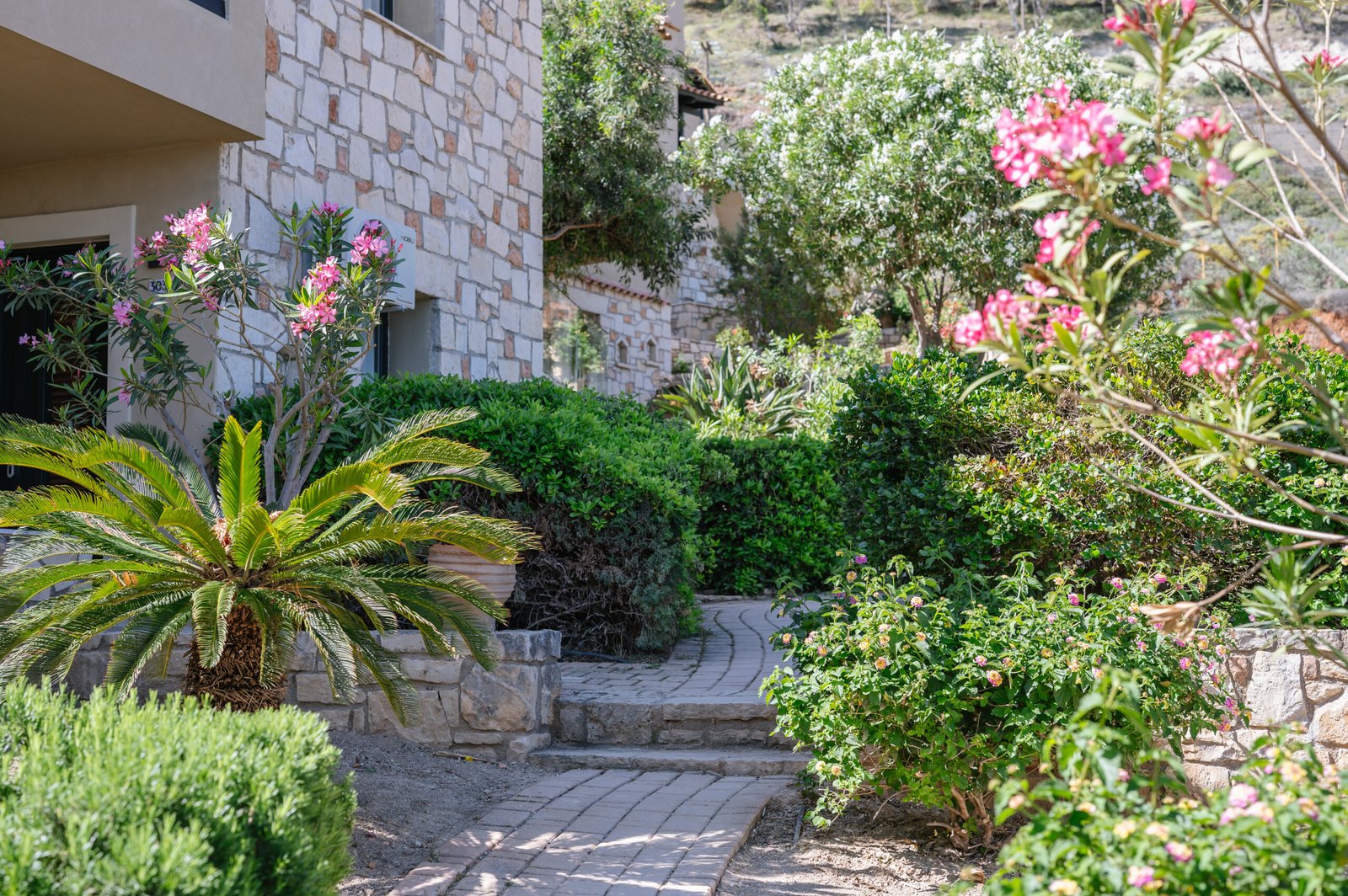 Serelia Village hotel in Crete - outdoors garden